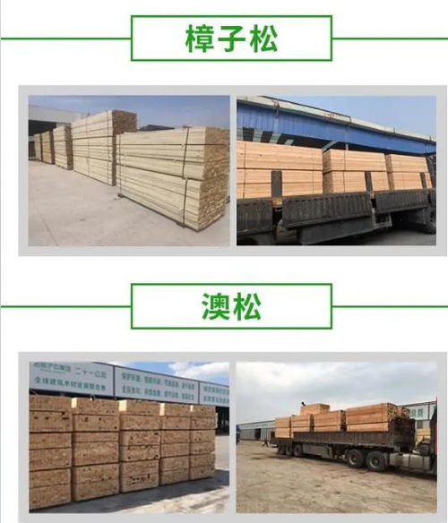 建筑用工地木方價格、建筑方木與廠家直銷全方位解析